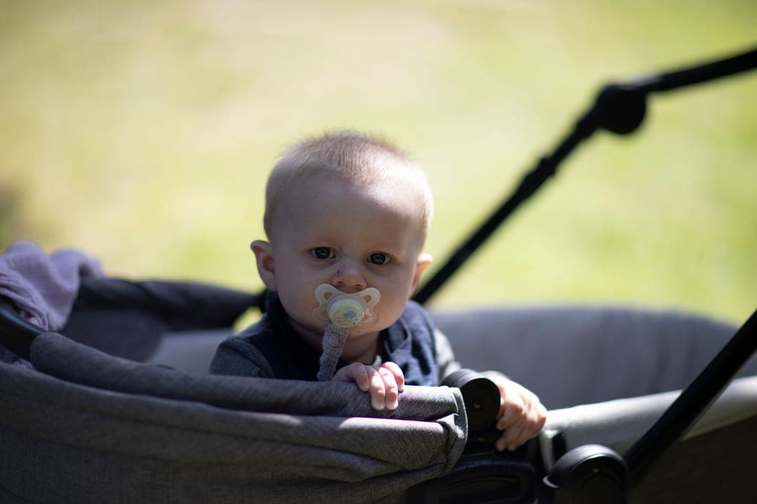 A toddler riding in a stroller on a city sidewalk